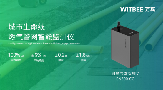 W2401223-可燃?xì)怏w監(jiān)測儀,智能守護燃?xì)夤芫W(wǎng)安全138.png