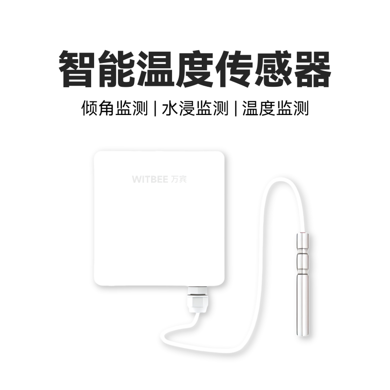 智能溫度傳感器<br>EN100-C-TX