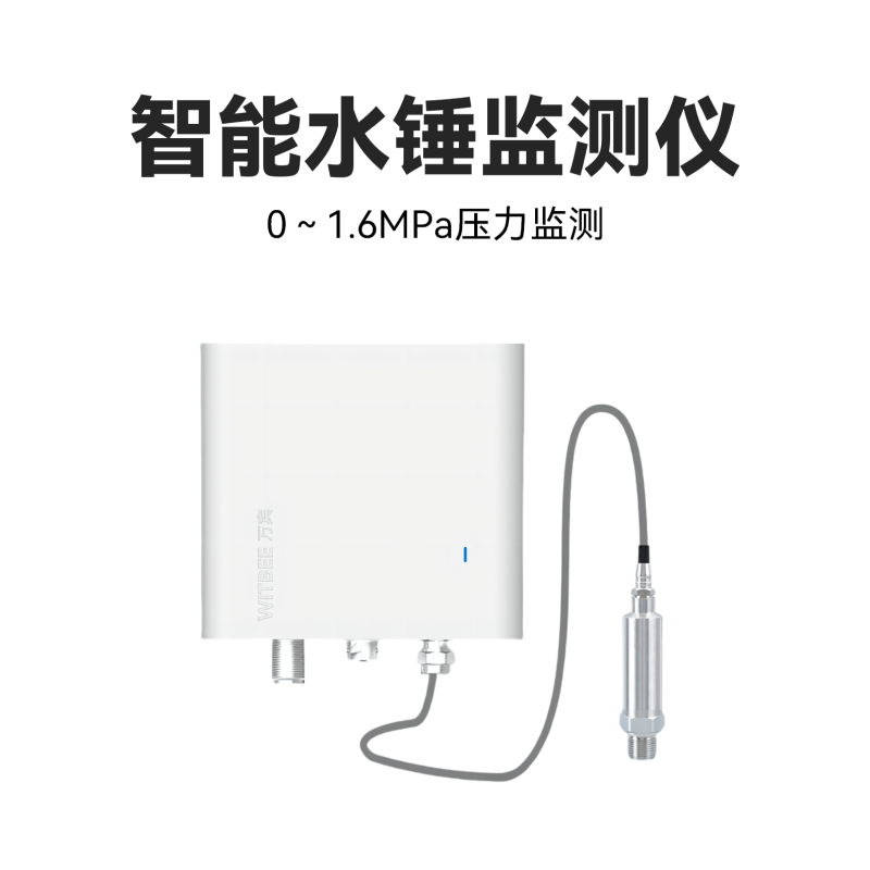 智能水錘監(jiān)測儀<br>EN401-PWH