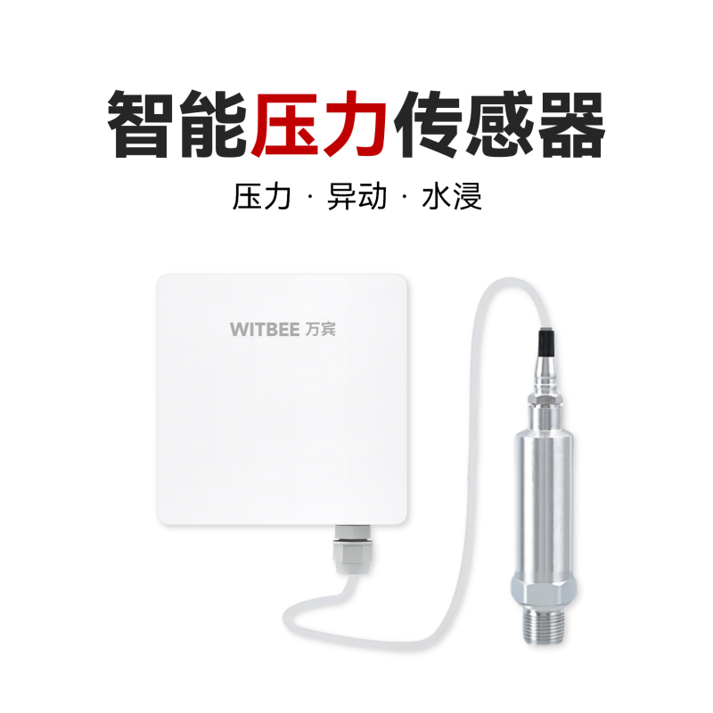 智能壓力傳感器<br>EN100-C-PS