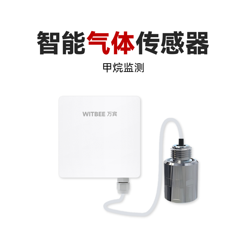 智能氣體傳感器<br>EN100-C-GE