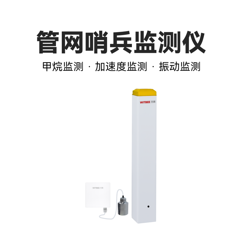 管網(wǎng)哨兵監(jiān)測儀<br>EN100-C-FG